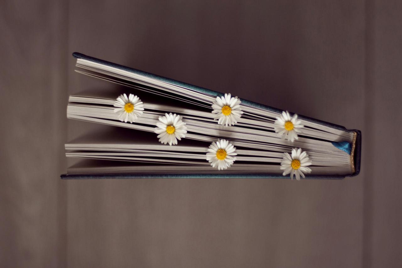 blumenbuch